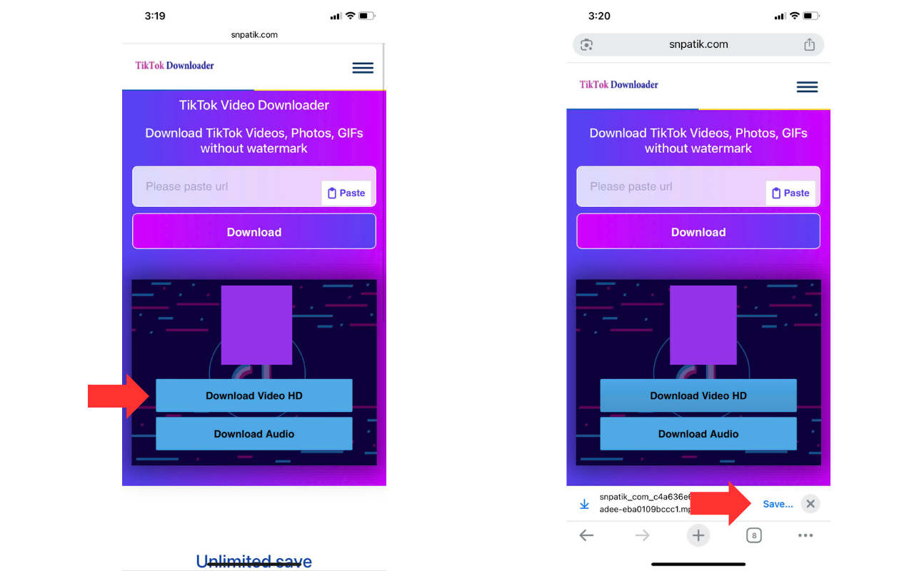 Choose Format and Download
